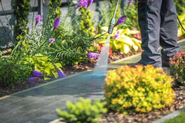 Best Restaurant Pressure Washing  in Willow Oak, FL