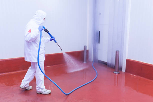 Best Boat and Dock Cleaning  in Willow Oak, FL