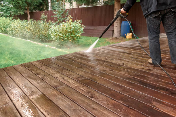 Best Driveway Pressure Washing  in Willow Oak, FL