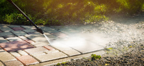 Best Dumpster Area Cleaning  in Willow Oak, FL