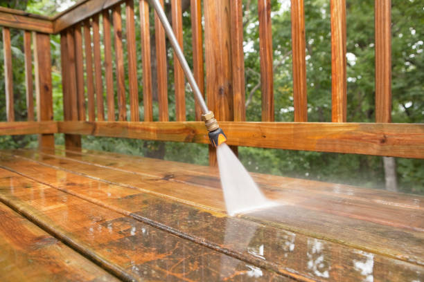 Animal Enclosure Cleaning in Willow Oak, FL